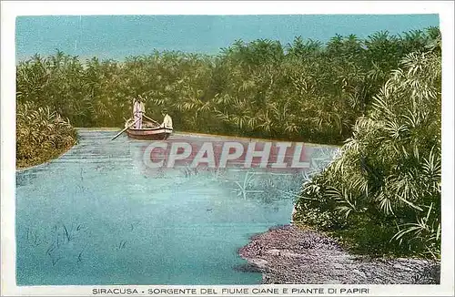 Moderne Karte Siracusa Sorgente del fiume ciane e piante di Papiri