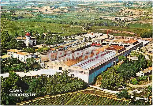 Cartes postales moderne Cavas Codorniu Vue de l'exterieur