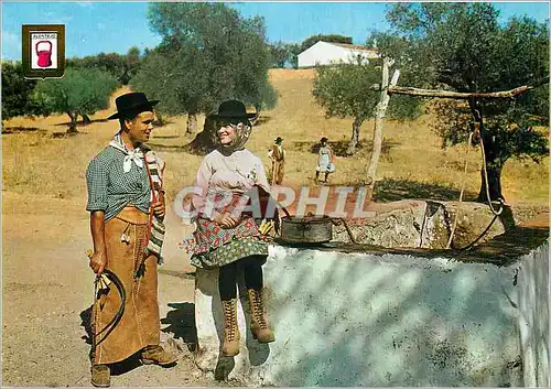 Cartes postales moderne Alentejo Portugal Harvestmen Typical