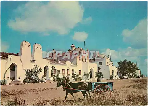 Cartes postales moderne Serpa Portugal Bairro Operario