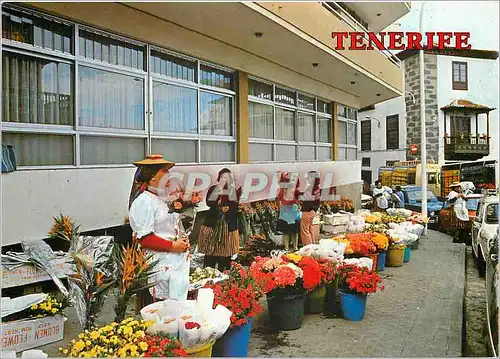 Cartes postales moderne Puerto de la Cruz Tenerife Marche aux fleurs