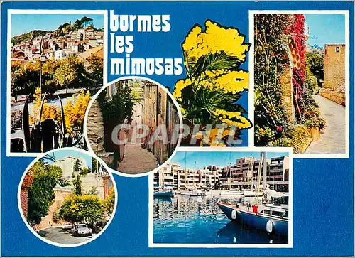 Cartes postales moderne Bormes les Mimosas Var
