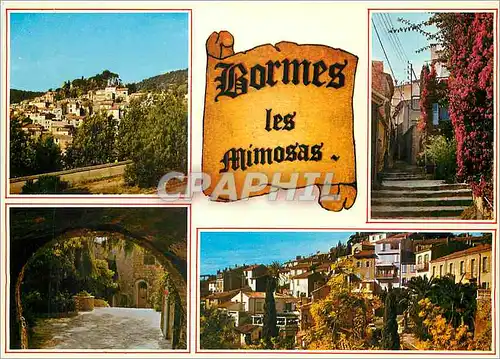 Cartes postales moderne Bormes Les Mimosas Var Premier village fleuri de France
