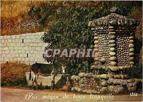 Cartes postales moderne Pas moyen de boize tranquille