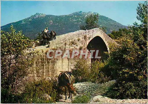 Cartes postales moderne Pont Genois aux environs de Sartene