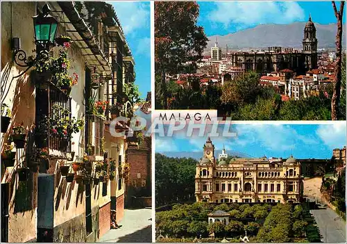 Cartes postales moderne Malaga Beautes de la Ville