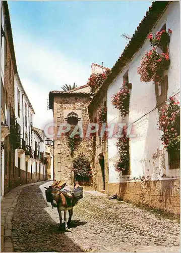 Moderne Karte Caceres Coin typique