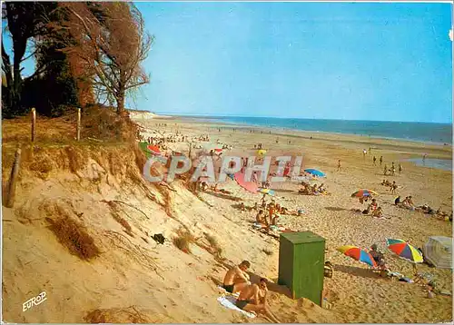 Cartes postales moderne Ile d'Oleron Ch Mme Plage de la Remigeasse