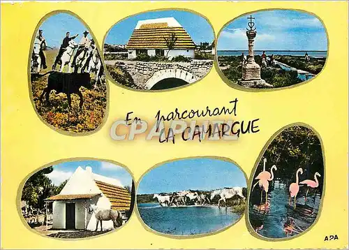 Cartes postales moderne En Camargue Ferrade Cabane de gardians Croix des gardians Taureau Cygnes