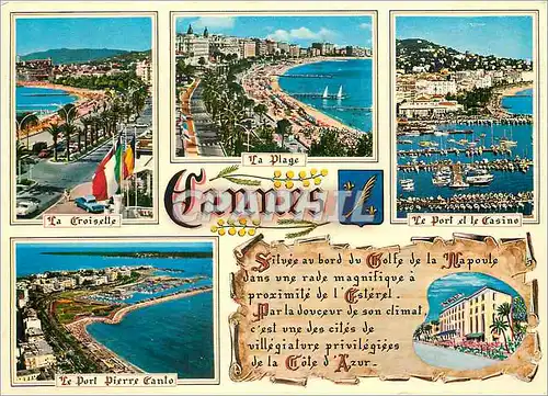 Cartes postales moderne Cote d'Azur Souvenir de Cannes