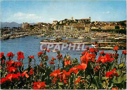 Cartes postales moderne Cannes Vue generale sur le Suquet et un coin du Port