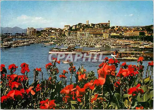 Moderne Karte Cannes Vue generale sur le Suquet et un coin du Port