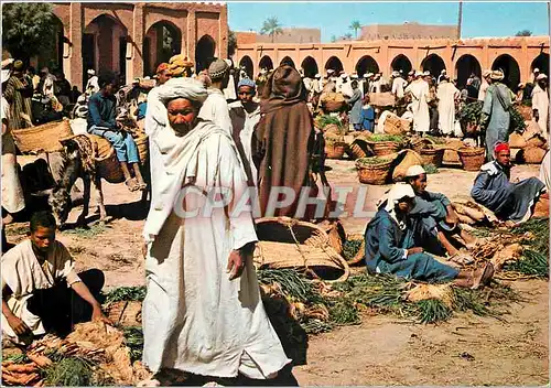 Cartes postales moderne Maroc Typique Rissani Marche original
