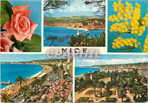 Cartes postales moderne Nice Cote d'Azur French Riviera Souvenir de Nice