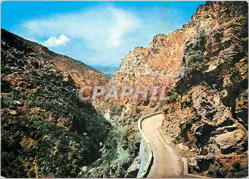 Cartes postales moderne La Corse Ile de Beaute Environs de Bastia Le Defile de Lancone