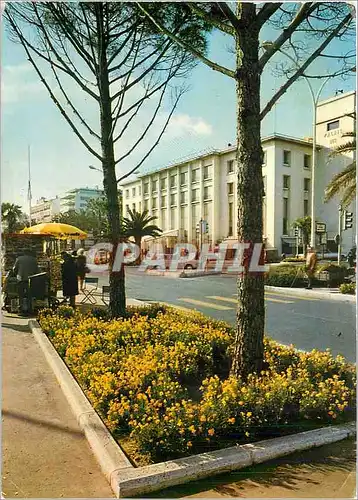 Cartes postales moderne La Cote d'Azur Pays du Soleil Cannes AM La Croisette et le Palais des Festivals