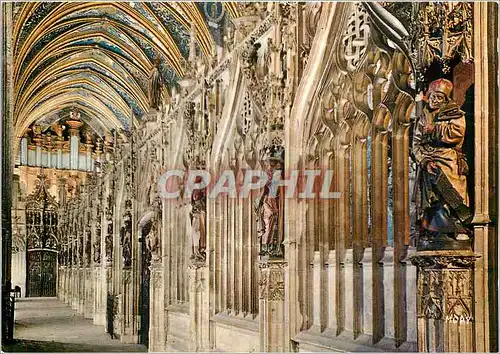 Cartes postales moderne Albi Cite d'Art La Basilique Sainte Cecile