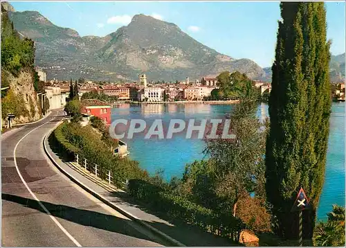 Cartes postales moderne Lago do Garda Riva del Garda Parmi les Cypres