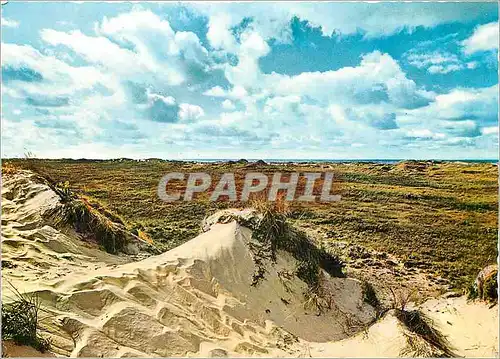 Cartes postales moderne Bovenop een Duin Texel