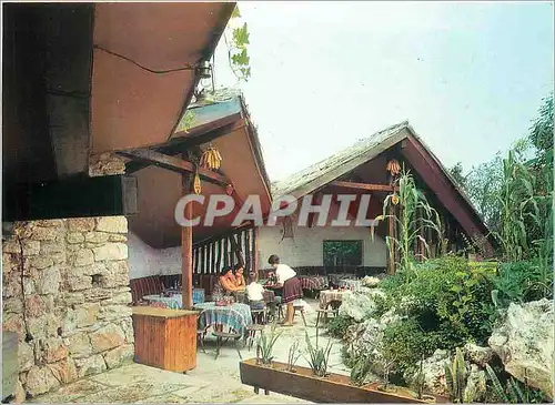 Cartes postales moderne Zlatni Pjassazi le restaurant Kocharata