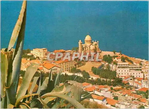 Cartes postales moderne Alger Vue sur notre Dame d'Afrique