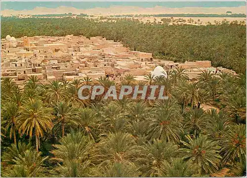 Cartes postales moderne Tunisie Vue generale tozeur