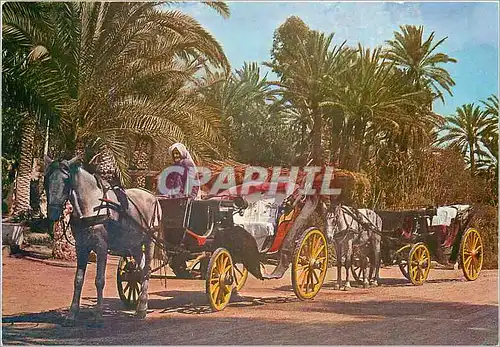 Cartes postales moderne Chenini Gabes Tunisie