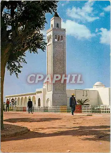 Cartes postales moderne La Marsa La Mosquee