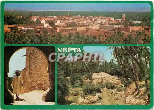 Cartes postales moderne Nefta