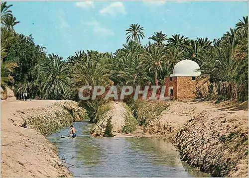 Moderne Karte Tozeur Riviere et marabout dans l'oasis