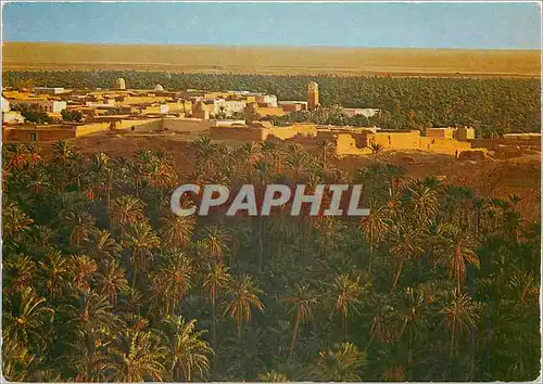 Cartes postales moderne Nefta (Tunisie) vue generale