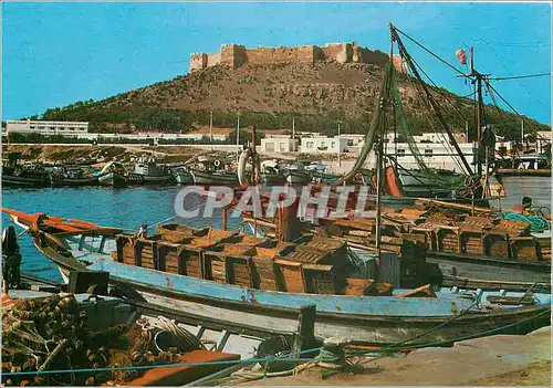 Cartes postales moderne Kelibia Le Port de peche et le Fort Bateaux