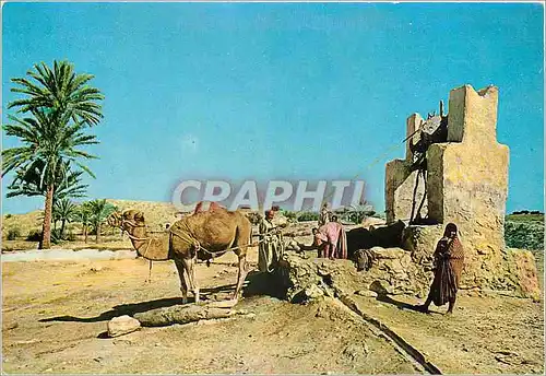 Cartes postales moderne Jerba Un puit Chameau