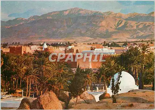 Cartes postales moderne Gaisa (Tunisie) L'oasis