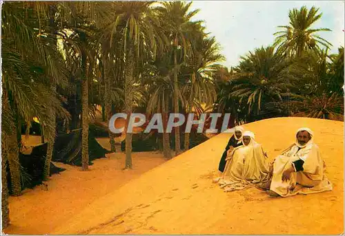 Cartes postales moderne Douz Une Oazis du desert