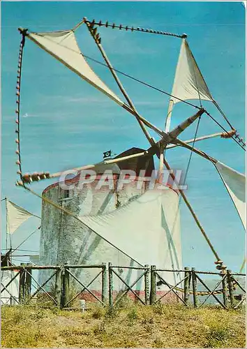 Cartes postales moderne Portugal Moulin Tipique