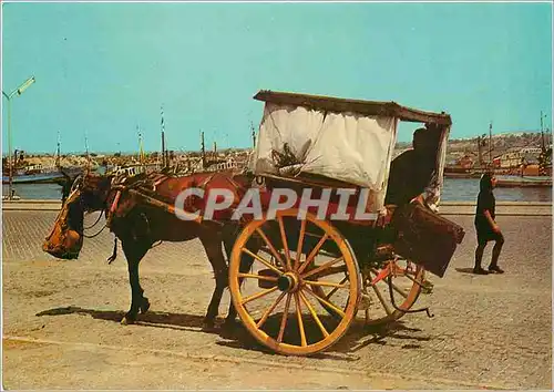 Moderne Karte Algarve Portugal Transport tipique