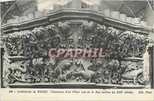 Cartes postales Cathedrale de Reims Chapiteau d'un pilier sud de la Nef (milieu du XIIIe s)