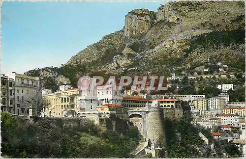 Cartes postales moderne Monaco Le Palais Princier