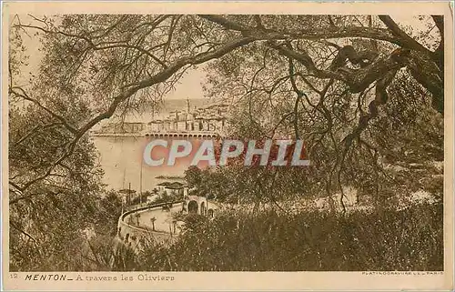 Cartes postales Menton A travers les oliviers