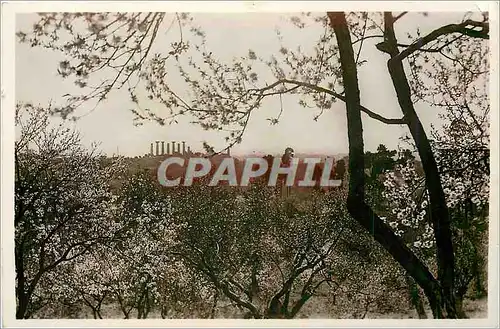 Cartes postales Agrigento Temple of Herakles seen From the Valley of the temples