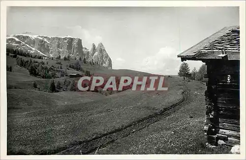 Cartes postales Motive sull'Alpe du Suisi verso Scillar (m 2561)Dolomiti