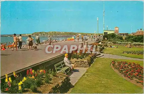 Cartes postales moderne Promenade and Gardens Littlehampton