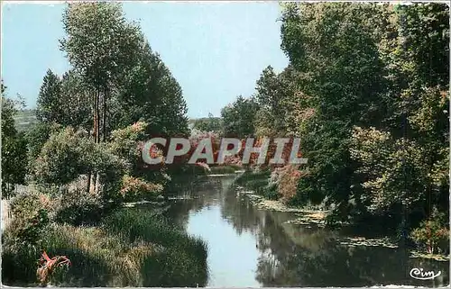 Cartes postales moderne Lezinnes (Yonne) Vue sur l'Armancon du pont de la route nationale