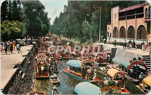 Moderne Karte Mexico Trajineras decoradas con flores pasean a los excursionistas por los canales de Xochimilco