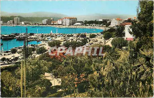 Cartes postales moderne Le Lavandou Vue generale et le Port