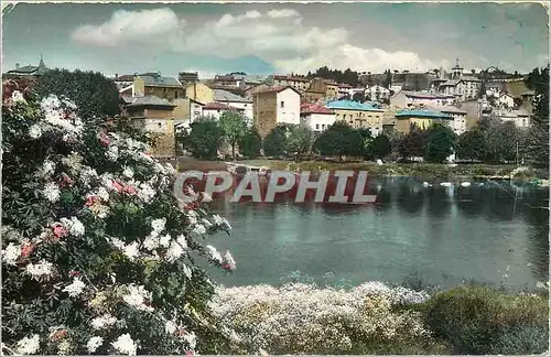 Cartes postales moderne Saint Just sur Loire (Loire) Les bords de la Loire