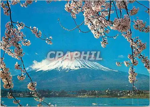 Moderne Karte Mt Fuji and Cherry Blossoms The symbals of japan as viewed from Kawaguchi lake