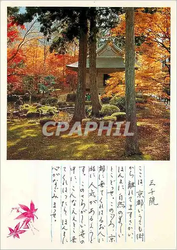 Cartes postales moderne Garden of Sanzen in Temple Kyoto