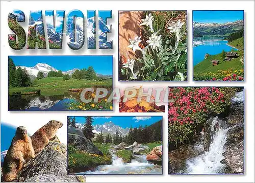 Cartes postales moderne Image de Montagne a la Decouverte de la Savoie au coeur de l'ete